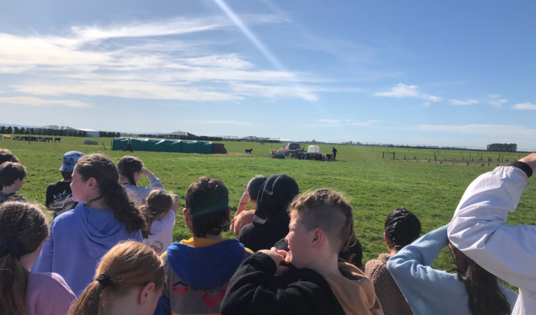 St Patrick's school on farm Luke Robb project.