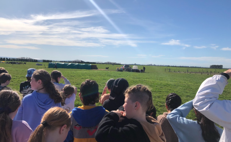 St Patrick's school on farm Luke Robb project.