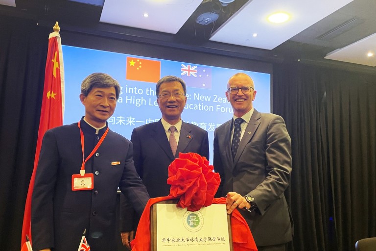 448550395 852246200264815 1568932500681551978 n