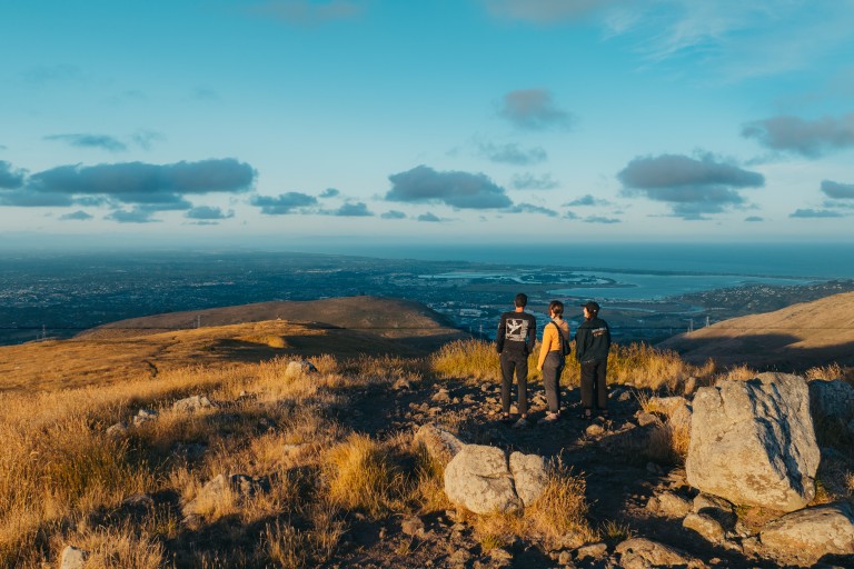 458596 group viewing vista on port hills