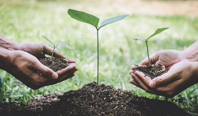 Collective action the focus for final sustainability hui