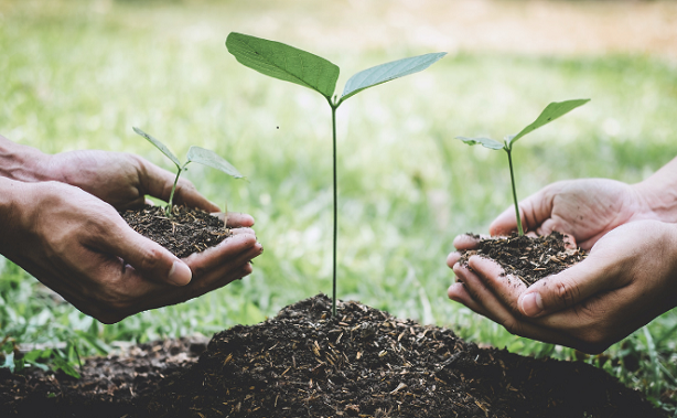 Collective action the focus for final sustainability hui