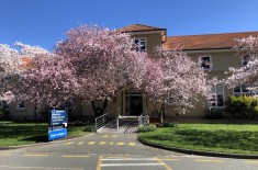 Hudson Hall Blossoms