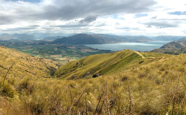 Mount Grand Credit David Pedley 1