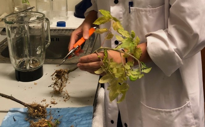 Masters student committed to protecting Nz environment