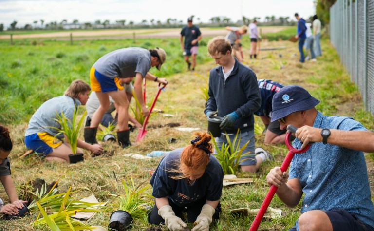 EnergyFarmPlanting25 (4)