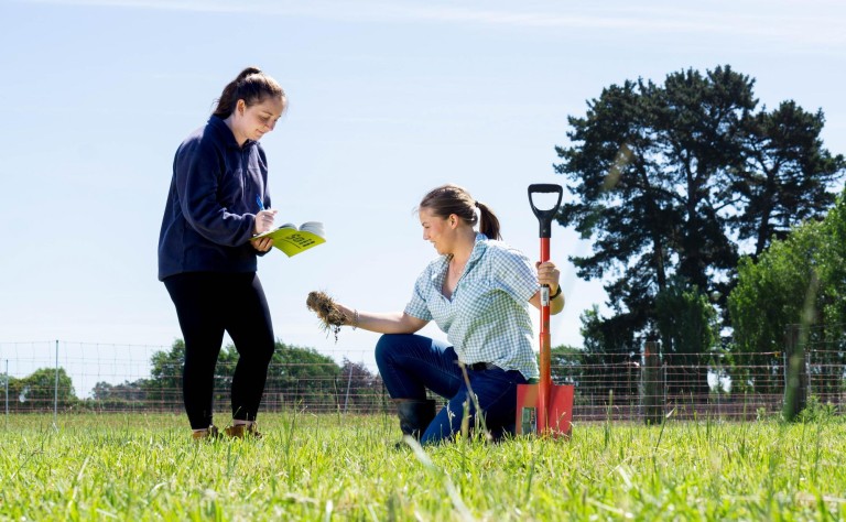 full size Environment and agriculture 181124