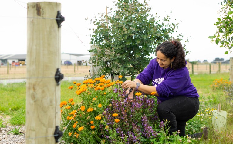 master environment agriculture
