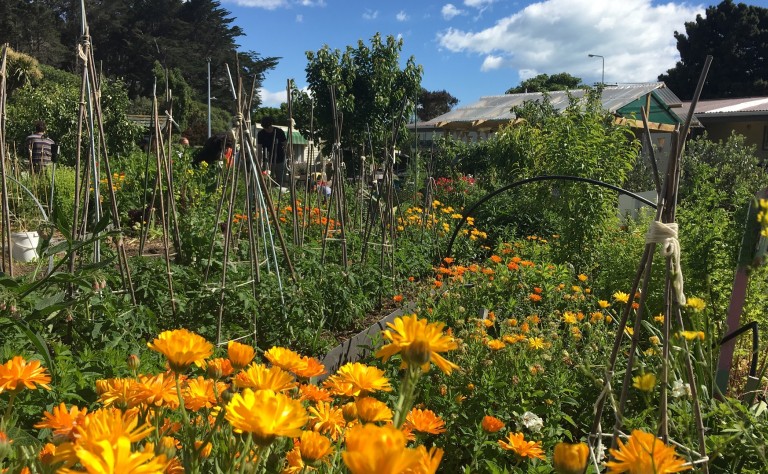 Reconnecting the Hinterland Designing productive peri urban landscapes through Agricultural Urbanism