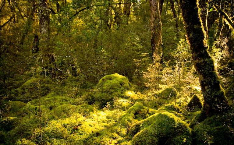 Environment ISS 4726 00669