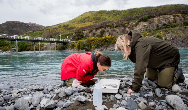 UC ScienceEcology Summer School 39